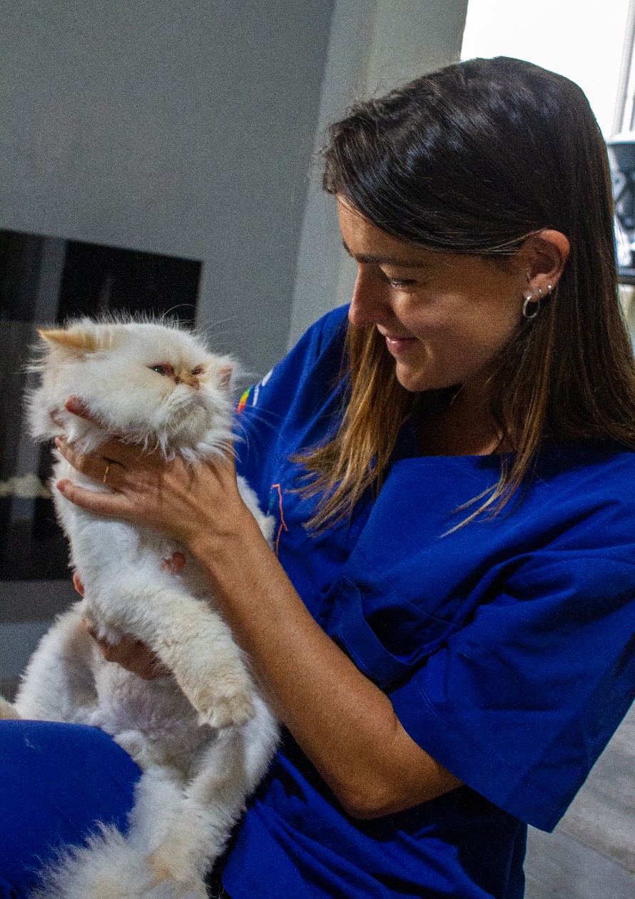 Consulta Veterinária