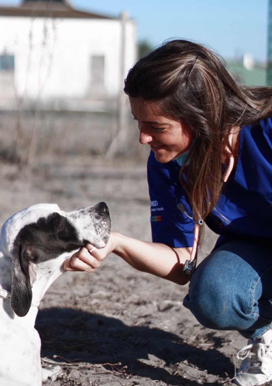 Desparasitação para Animais