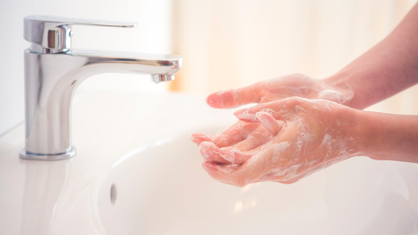 Prevenção da Toxoplasmose - Lavar mãos